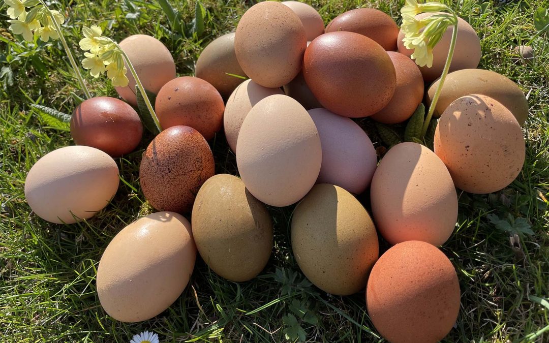 Viele bunte Ostereier…