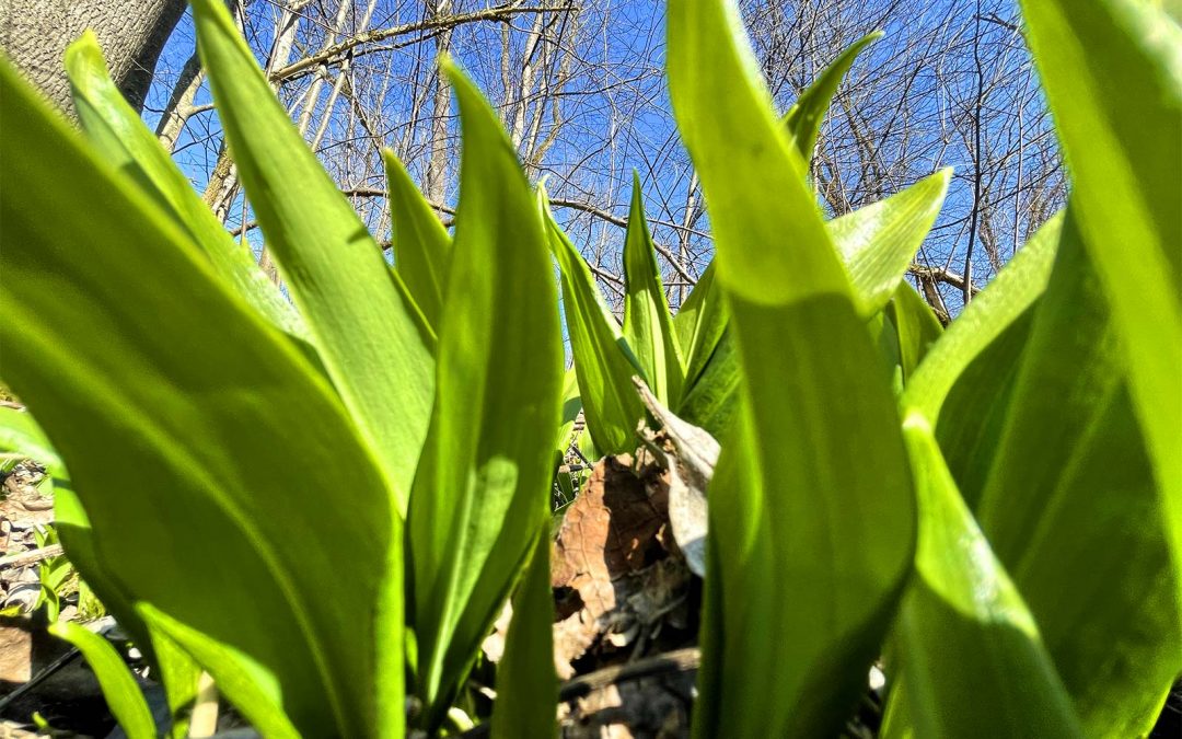 Wachsende Begeisterung!
