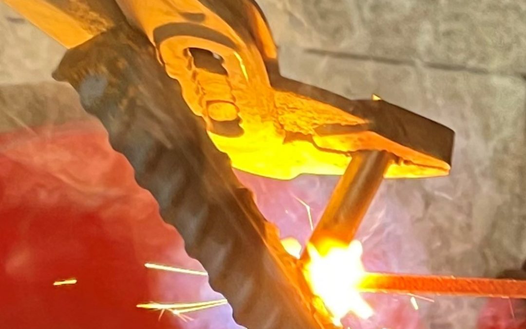 Unser Schafzaun entsteht