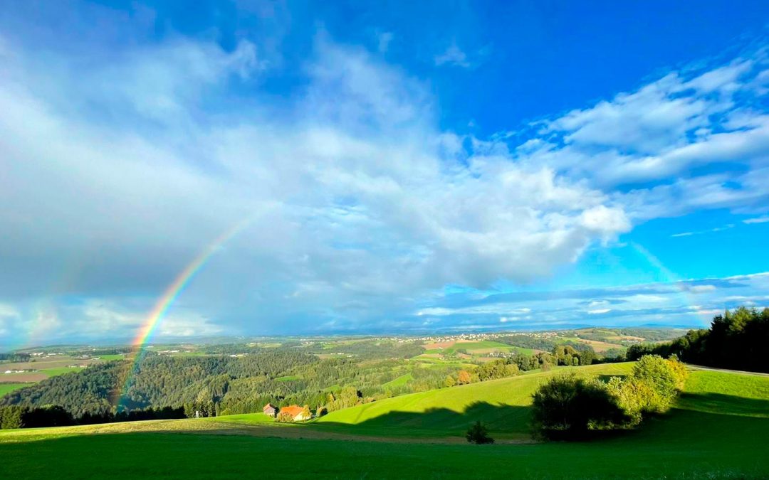 Es wird Herbst&nbsp;…