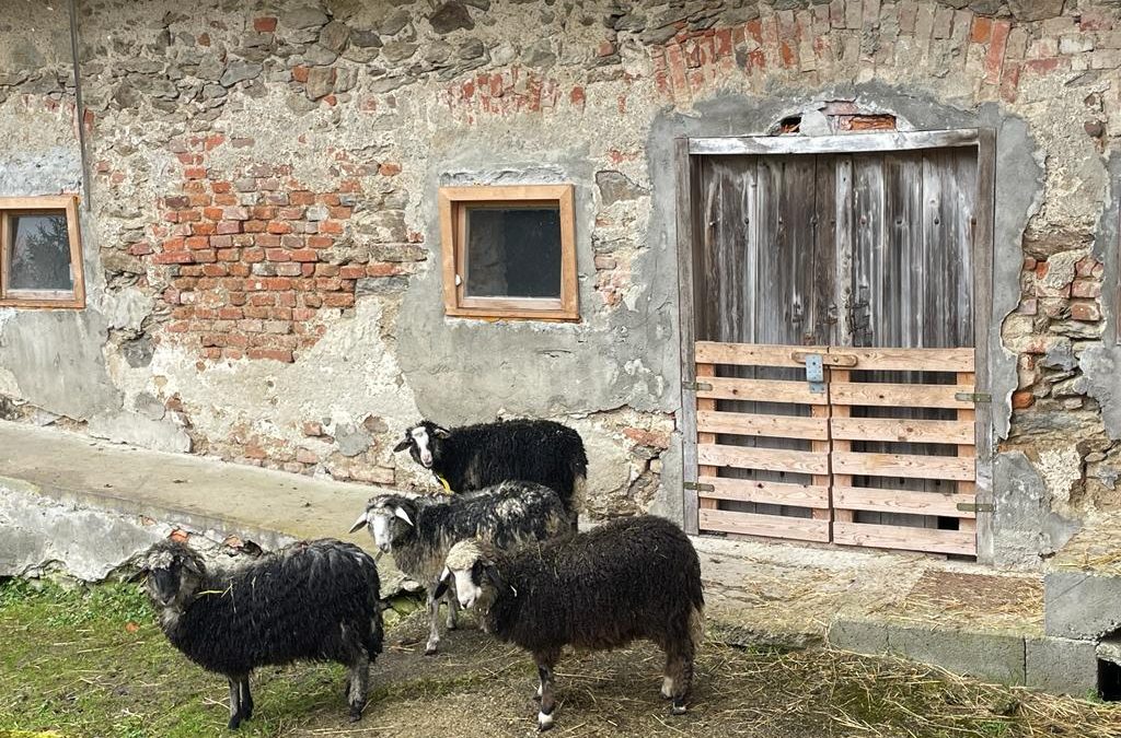 Unsere vier&nbsp;neuen&nbsp;…