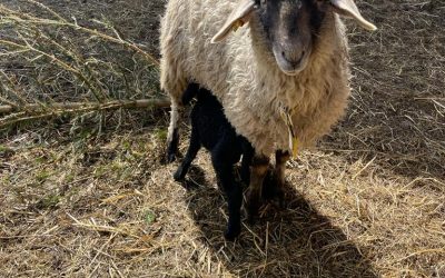 Und kurz darauf&nbsp;…