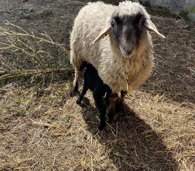 Und kurz darauf&nbsp;…