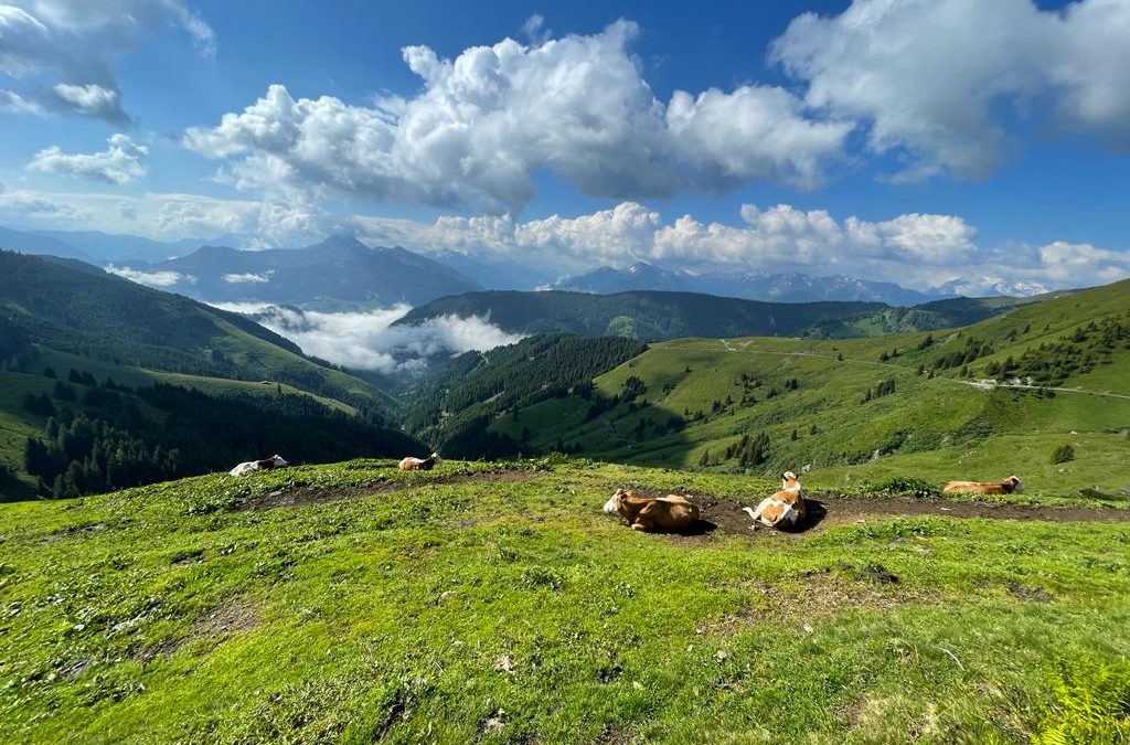 Auf dem&nbsp;Weg&nbsp;…