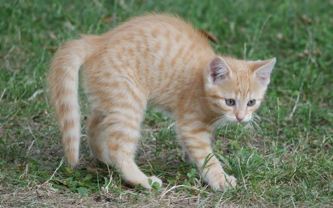 Huch! Hab ich mich erschreckt!