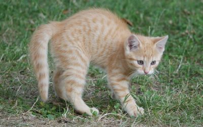 Huch! Hab ich mich erschreckt!