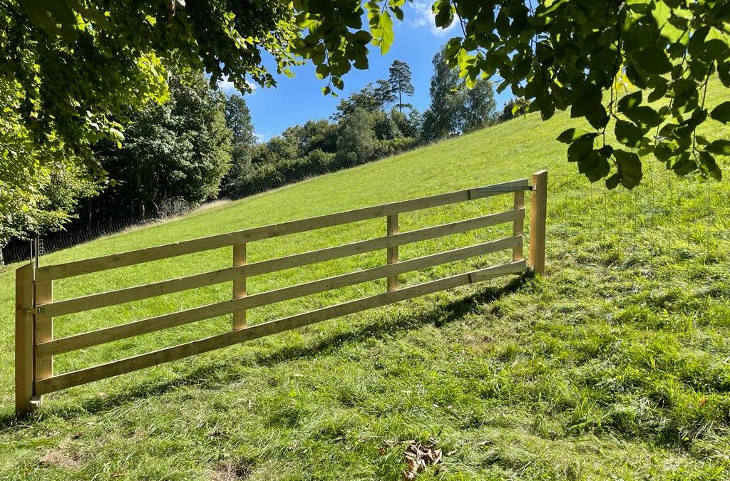 unsere neue&nbsp;Weide&nbsp;…