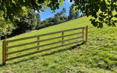 unsere neue Weide …