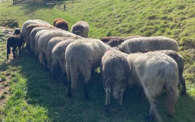 Was schmeckt denn da so&nbsp;gut?