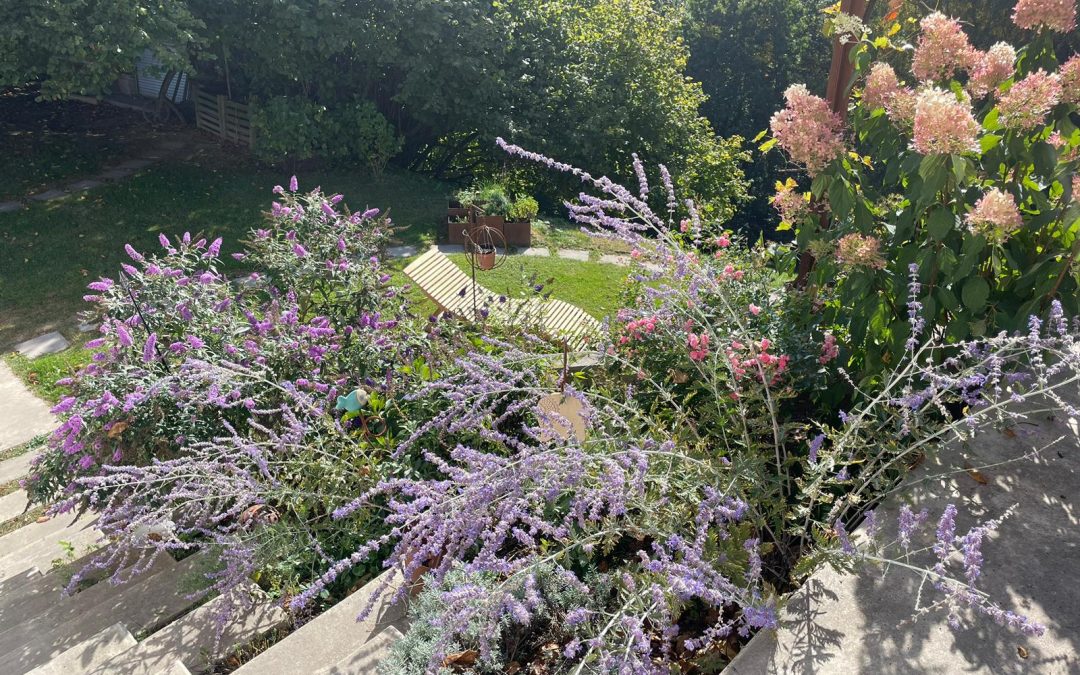 Wunderschöne Herbsttage…