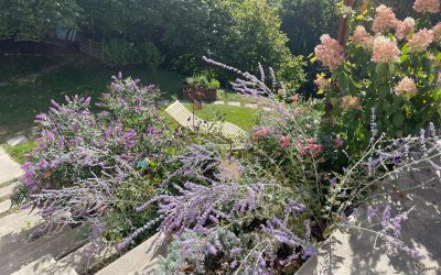 Wunderschöne Herbsttage…