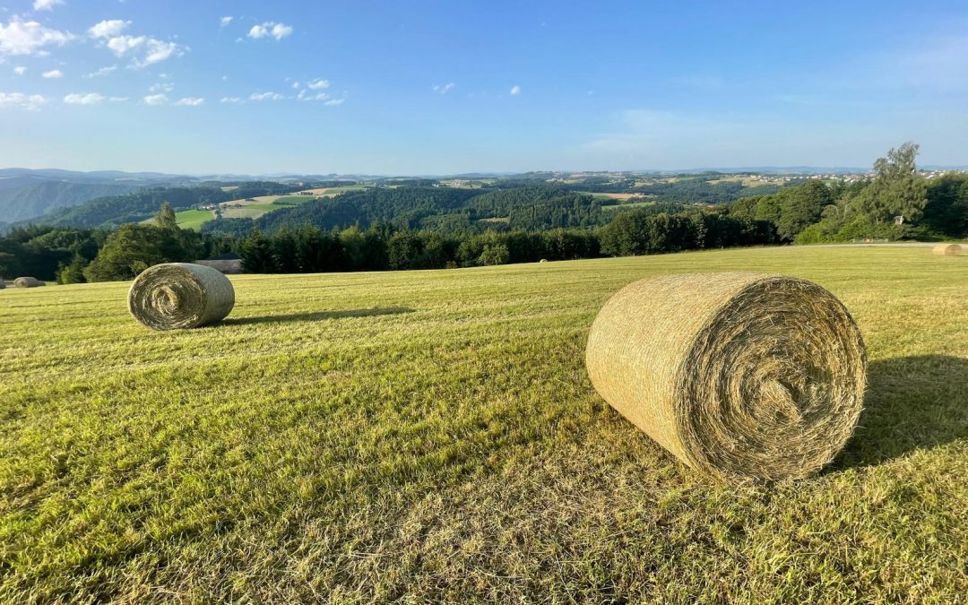 … und fertig gepresst!