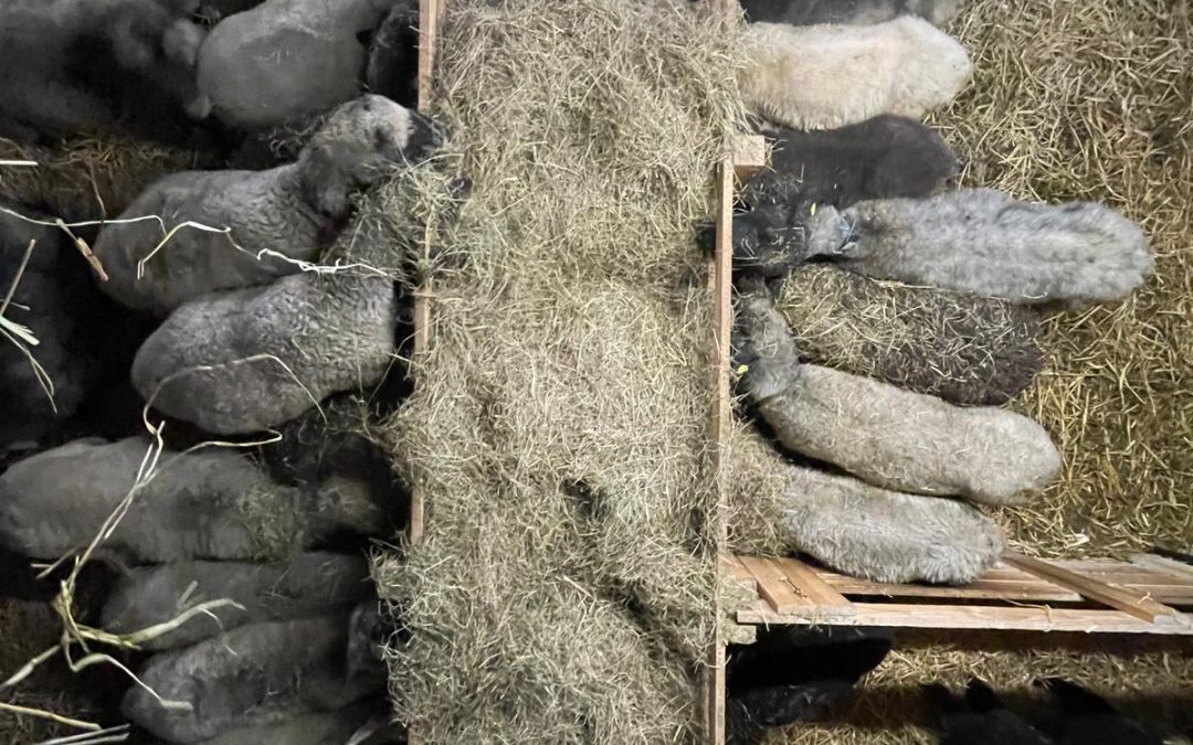 … mal von oben betrachtet