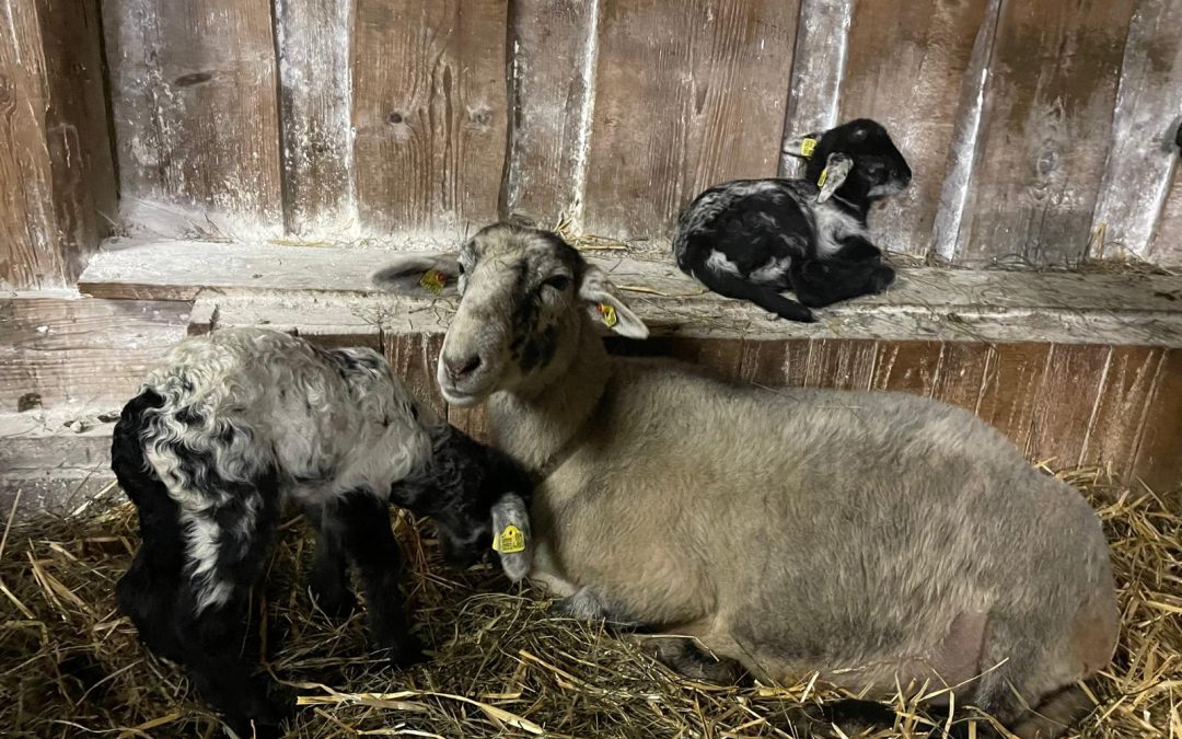 Clea im Mutterglück