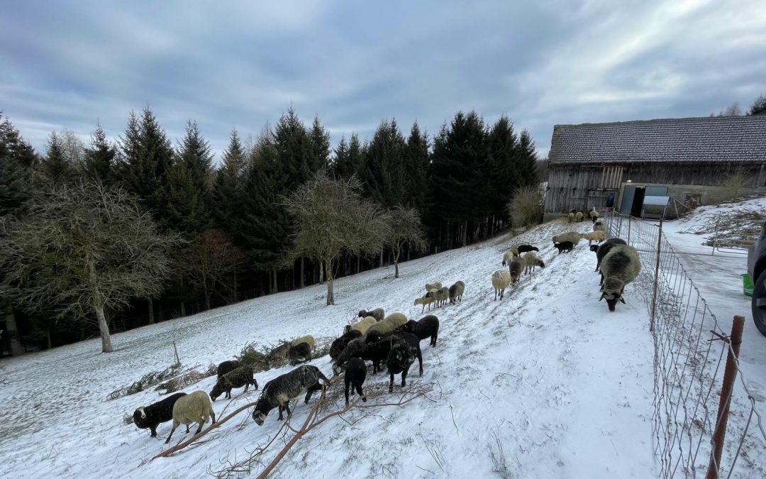 Vorsicht – Rutschpartie!