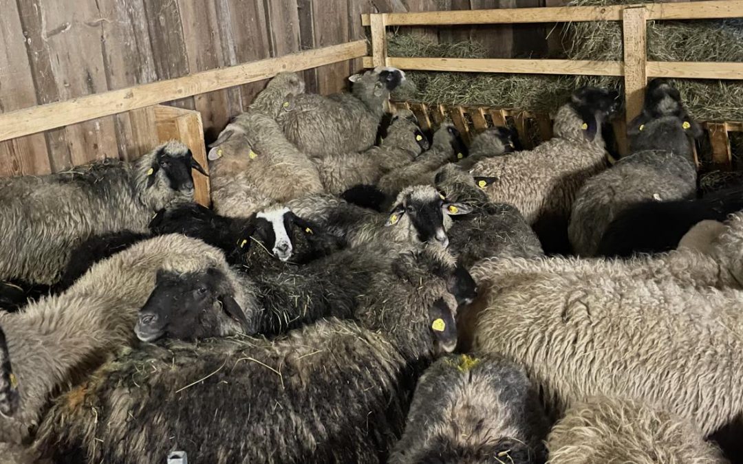 Alle Damen bereit für den Friseur