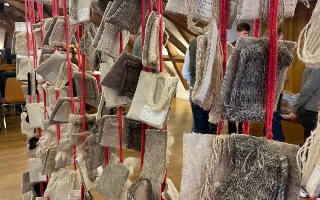 wolle ist mehr – Wollseminar in st. Gilgen!
