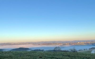 Traumhafte Dezembertage