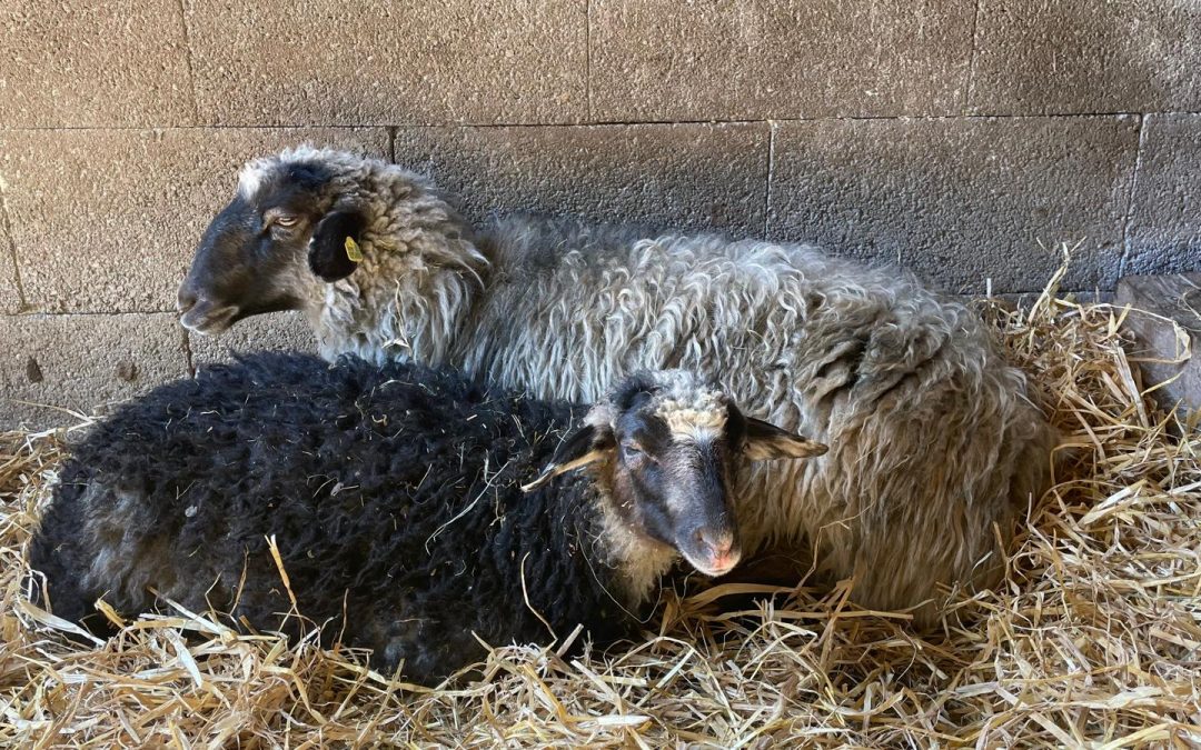 Der Frühling lässt auf sich warten&nbsp;…